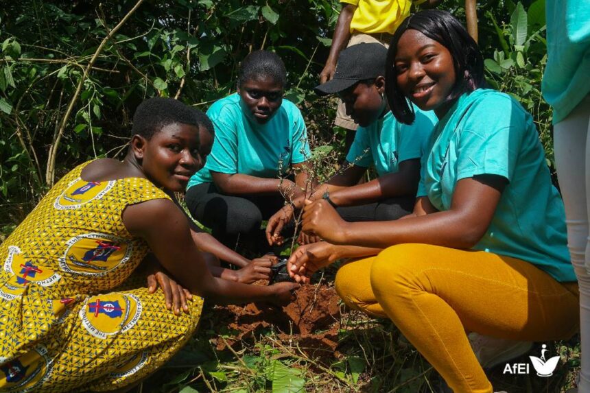 Tree Planting and Climate Change Sensitisation