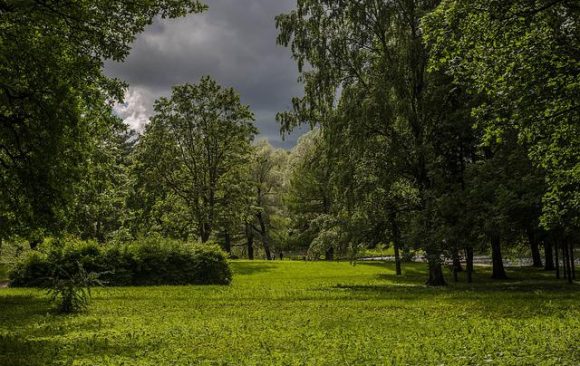 Environmental benefits of green space