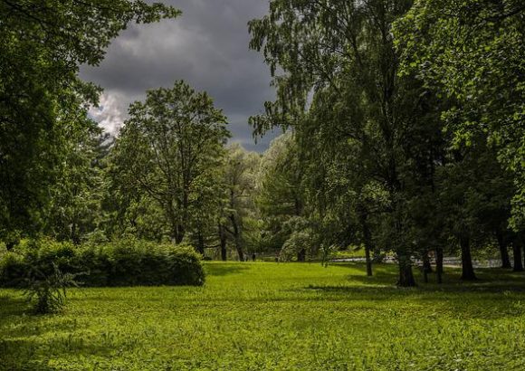 Environmental benefits of green space