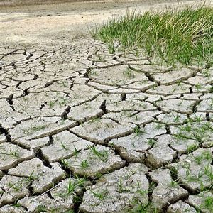 Acting on climate