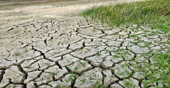 Acting on climate