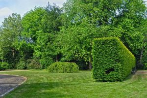 Green spaces